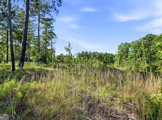 704 Giles Rd, Forsyth, GA 31029