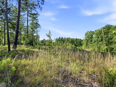 704 Giles Rd, Forsyth, GA, 31029