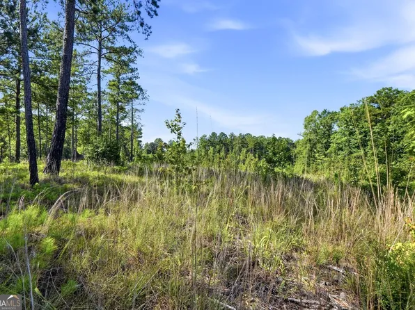 704 Giles Rd, Forsyth, GA 31029