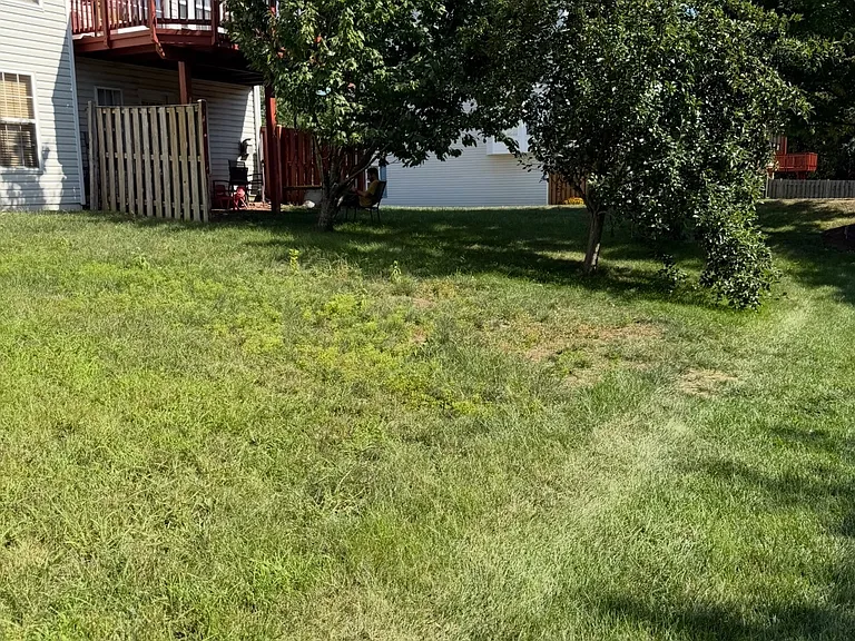 43839 Tattinger Ter — Photo 24