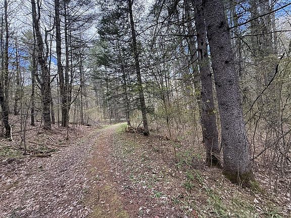 5th image of 169 Jenkins Brook Road