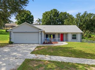 993 Scenic View Cir, Minneola, FL 34715