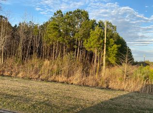 0 Wilmington Rd, Turkey, NC 28393