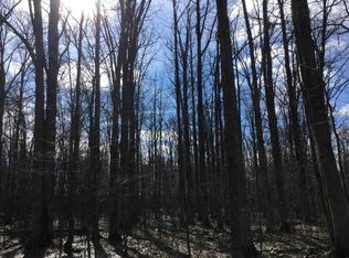 49.36 Ac Owen Ave, Owen, WI 54460