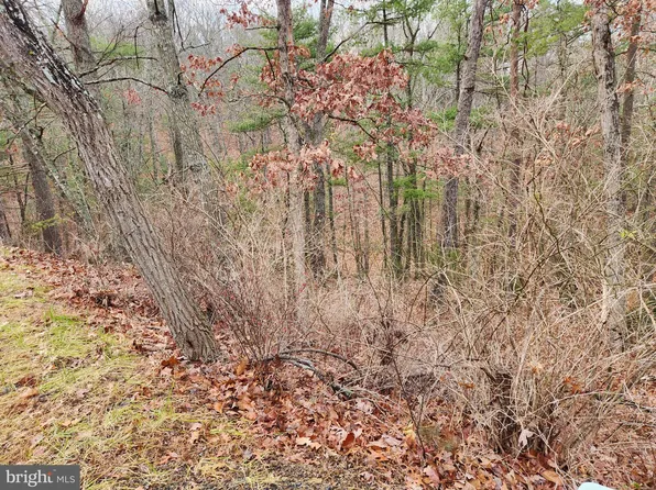 Deloris Rd, Basye, VA 22810