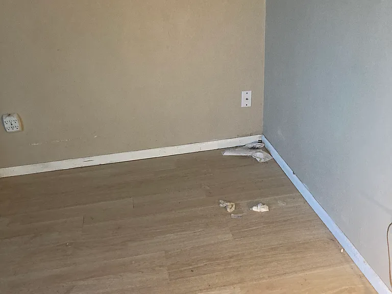 6 Daisy Ct — Photo 13