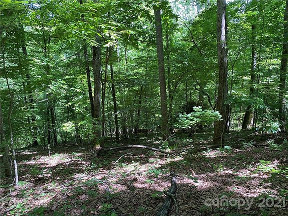5th image of 0 Chattooga Run Lot 402