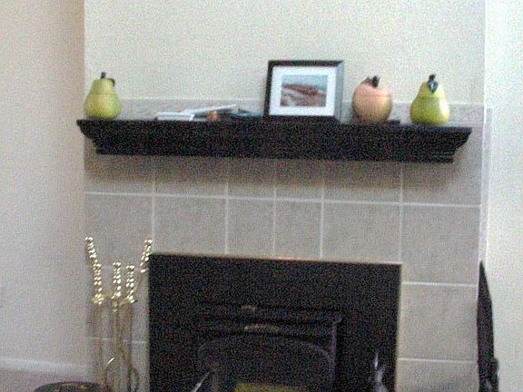  High Efficiency Fireplace/Wood Burning Stove