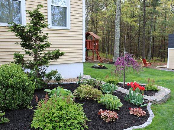 Landscaping & Shed
