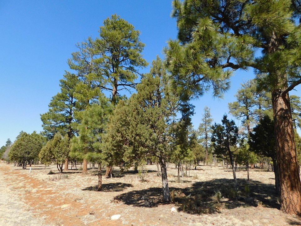 1st image of 5691 Tamarron Dr