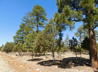 5691 Tamarron Dr, Happy Jack, AZ 86024