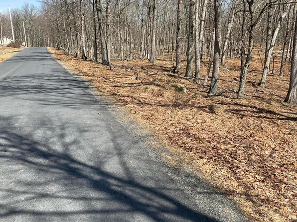 290 Mountain Top Dr, Dingmans Ferry, PA 18328