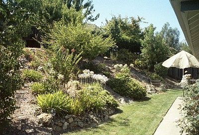 4th image of 3000 Bridlewood Dr