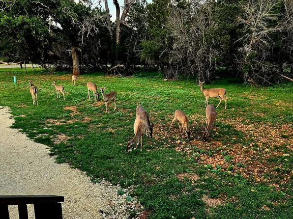 256 NAKOMIS DR, Bandera, TX 78003