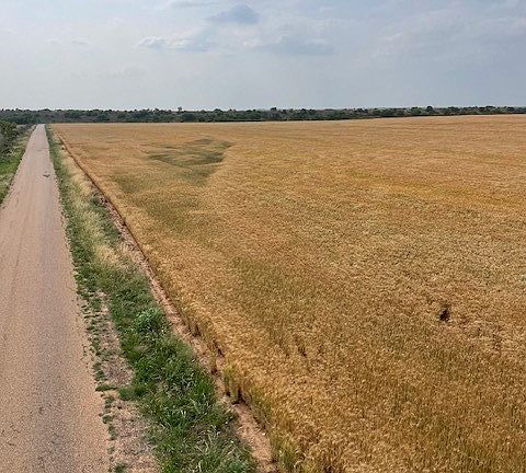 5th image of 0 County Road 289