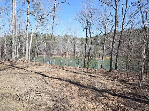 Image 4: Cleared Property