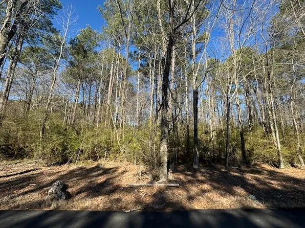 437 Hall Burton Rd, Sumiton, AL 35148