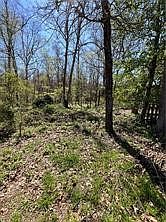 1st image of 2 Mayfair Cir #10