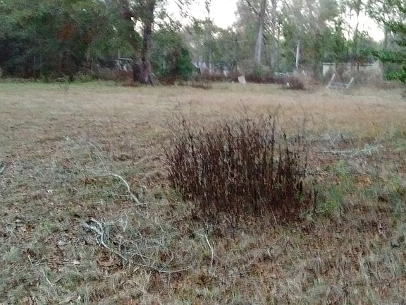 4th image of 106 J & K Ln