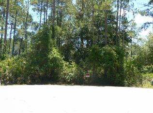 11 Ripton Pl, Palm Coast, FL 32164