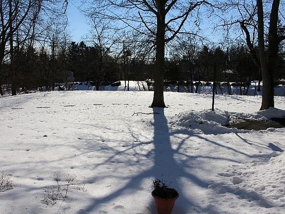 Spacious Front Yard