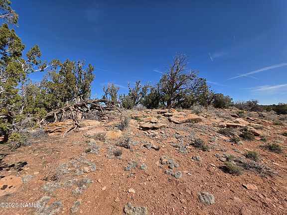 5th image of 1153 Indian Meadows Rd