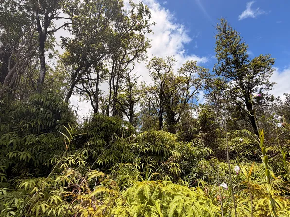 Kokokahi Rd Lot 47, Volcano, HI 96785