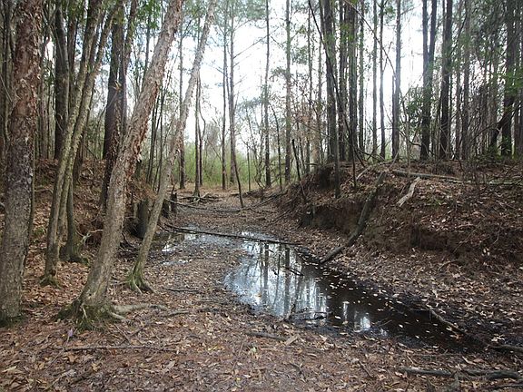 4th image of 8284 Highway 28