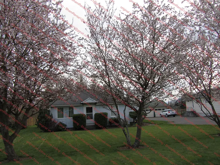 Cottonwood Ave — Photo 1