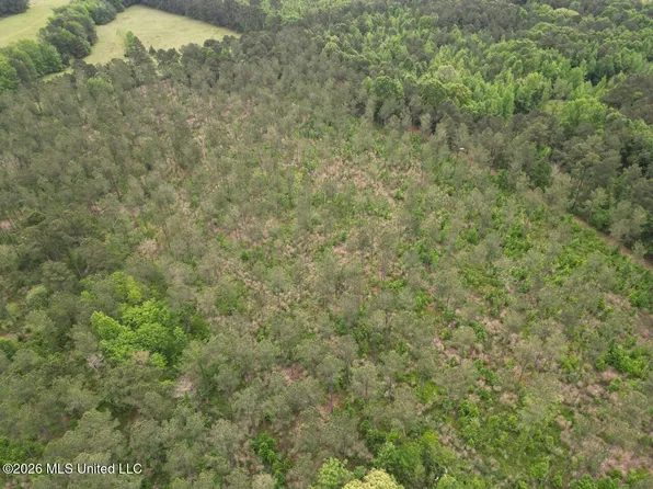 167 E West Morgan Rd, Arcadia, LA 71001
