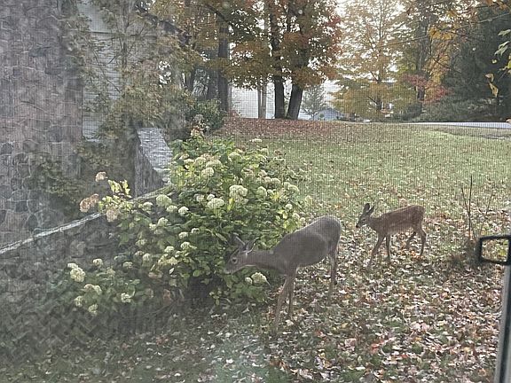 5th image of 12 Forest Hill Rd