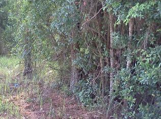 Ruffing Rd, Dade City, FL 33523