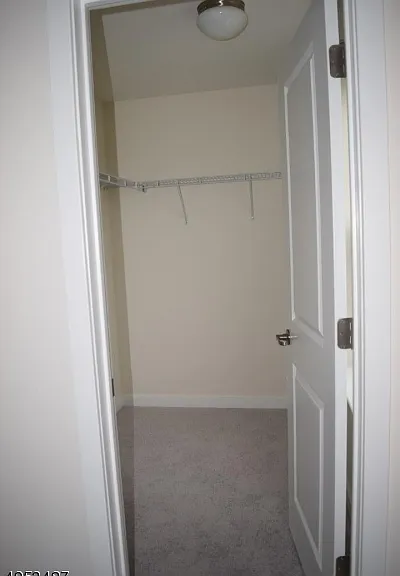 6 Gerhard Pl — Photo 12