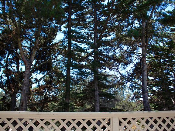 4th image of 2601 Willowbrook Ln Unit 8