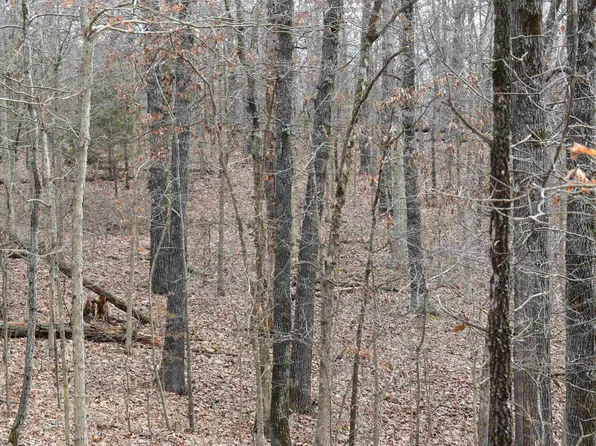(undisclosed Address), Gravette, AR 72736