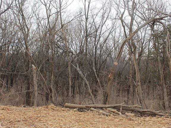 4th image of 7499 Lakeview Rd