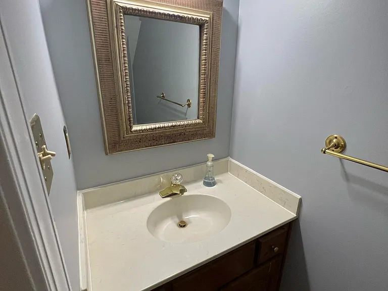 Downstairs hall bathroom