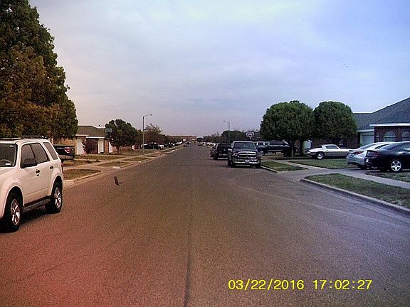 4th image of 6715 86th St
