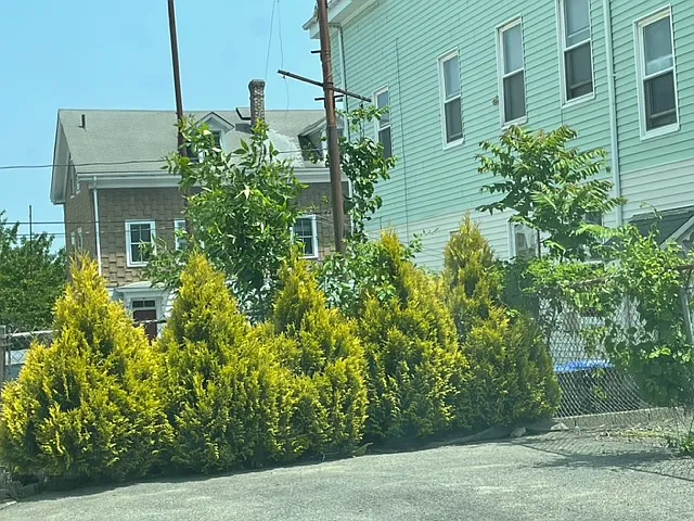 2 bed, 1235 sqft, $2,050 — Photo 4