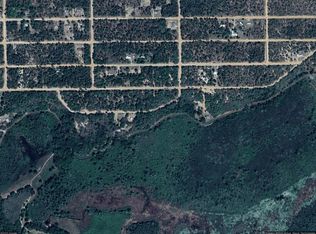 113 Hickory Cir, Interlachen, FL 32148