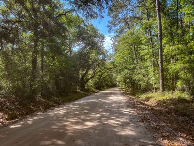 2109 Leadenwah Dr, Wadmalaw Island, SC, 29487