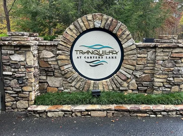 193&194 Harris Ridge Ln, Ellijay, GA 30540