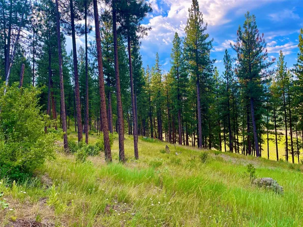 Nhn Tract Railroad Ave #3, Alberton, MT 59820