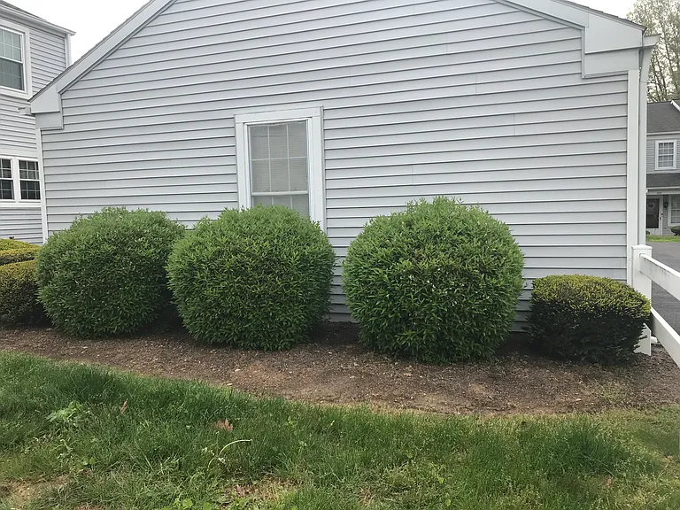222 Cambridge Ct — Photo 6