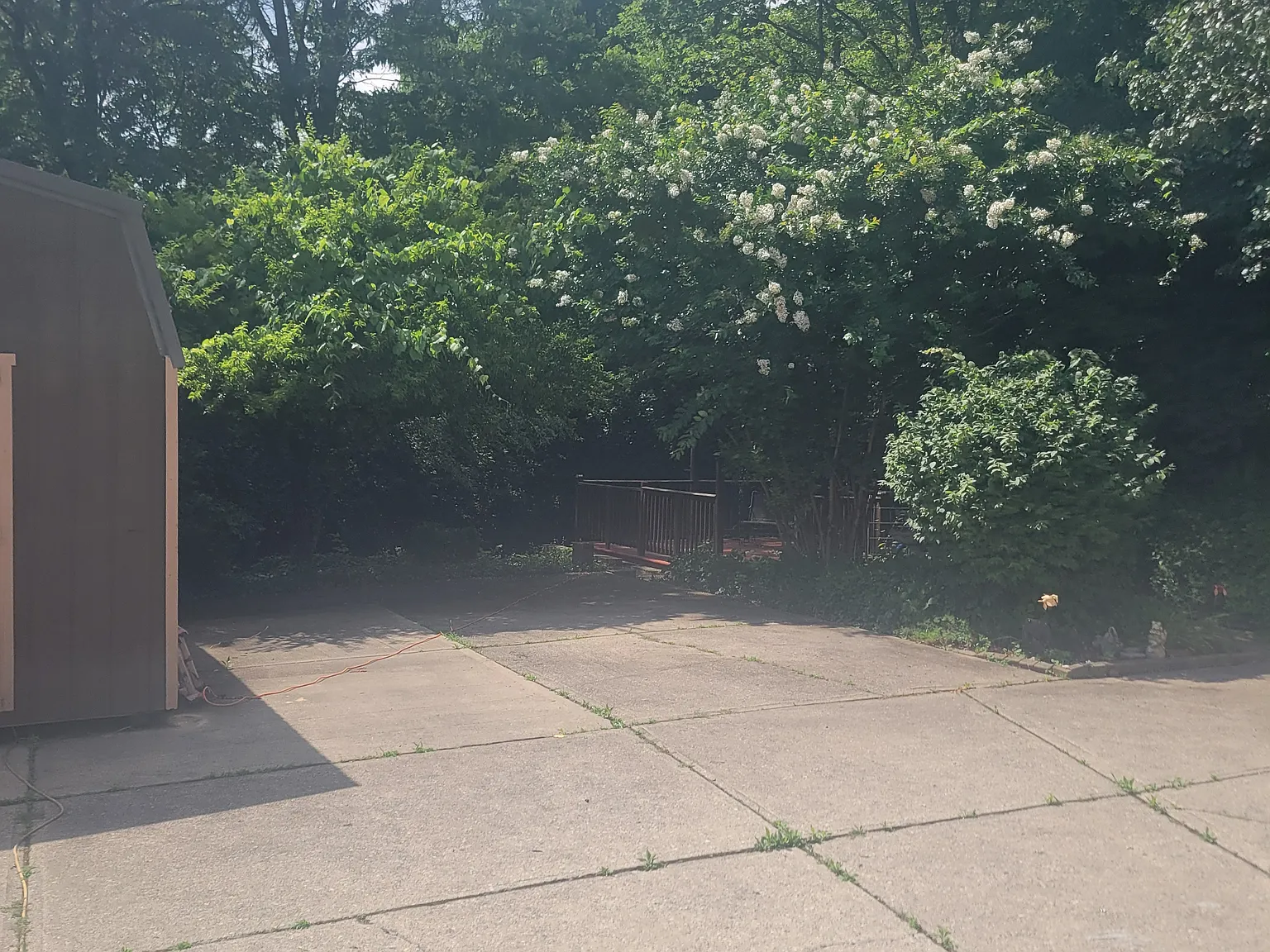 2 bed, 1265 sqft, $1,300 — Photo 2