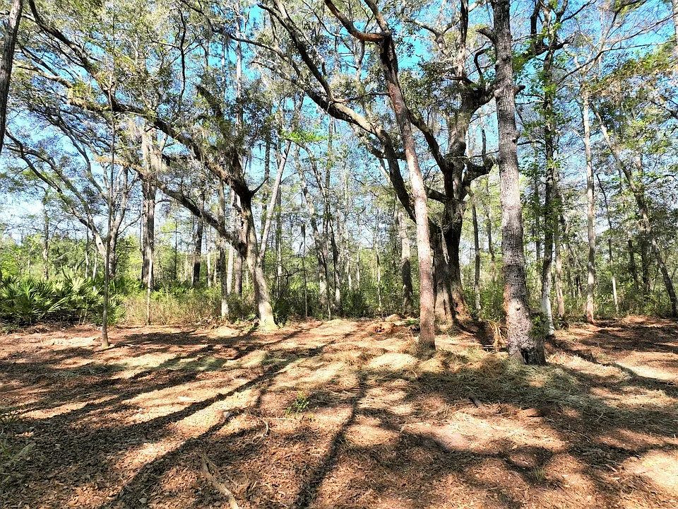 1 Piney Bluff Rd, Waverly, GA 31565 MLS 1639579 Zillow