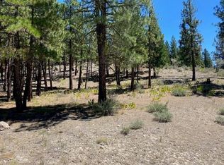 235 Morning Star, Portola, CA 96122