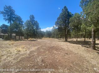 LOT 5 Deer Park Dr, Alto, NM 88312