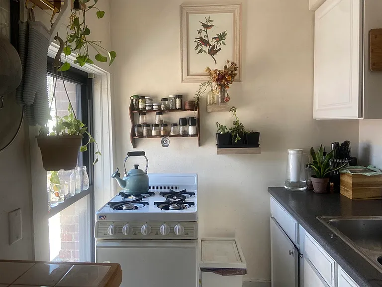 200 Brackett St #5 — Photo 9