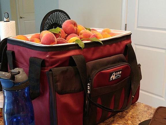 From your Peach Tree!
